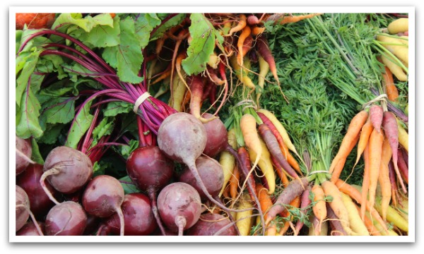 Beetroot and colourful carrots tied in bunches.