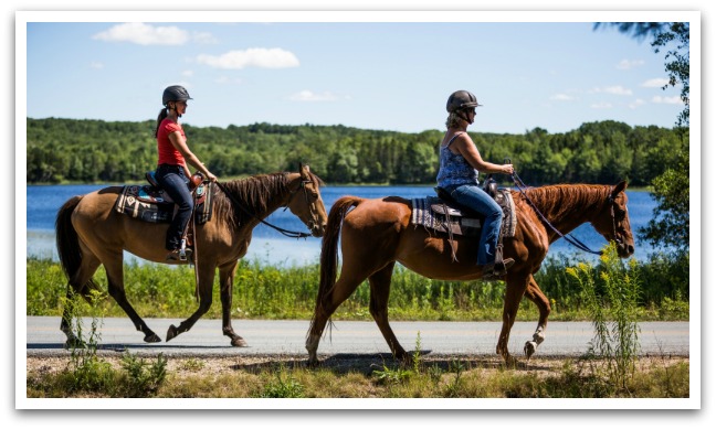 New Ross Lions Park Walking Trail