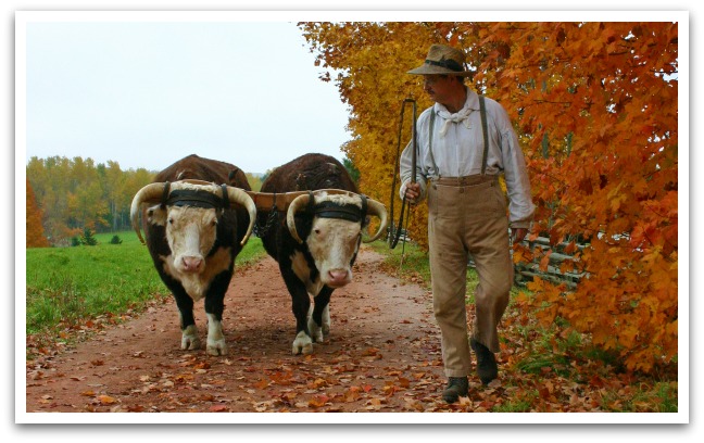 Ross Farm Museum Interpretive Trail