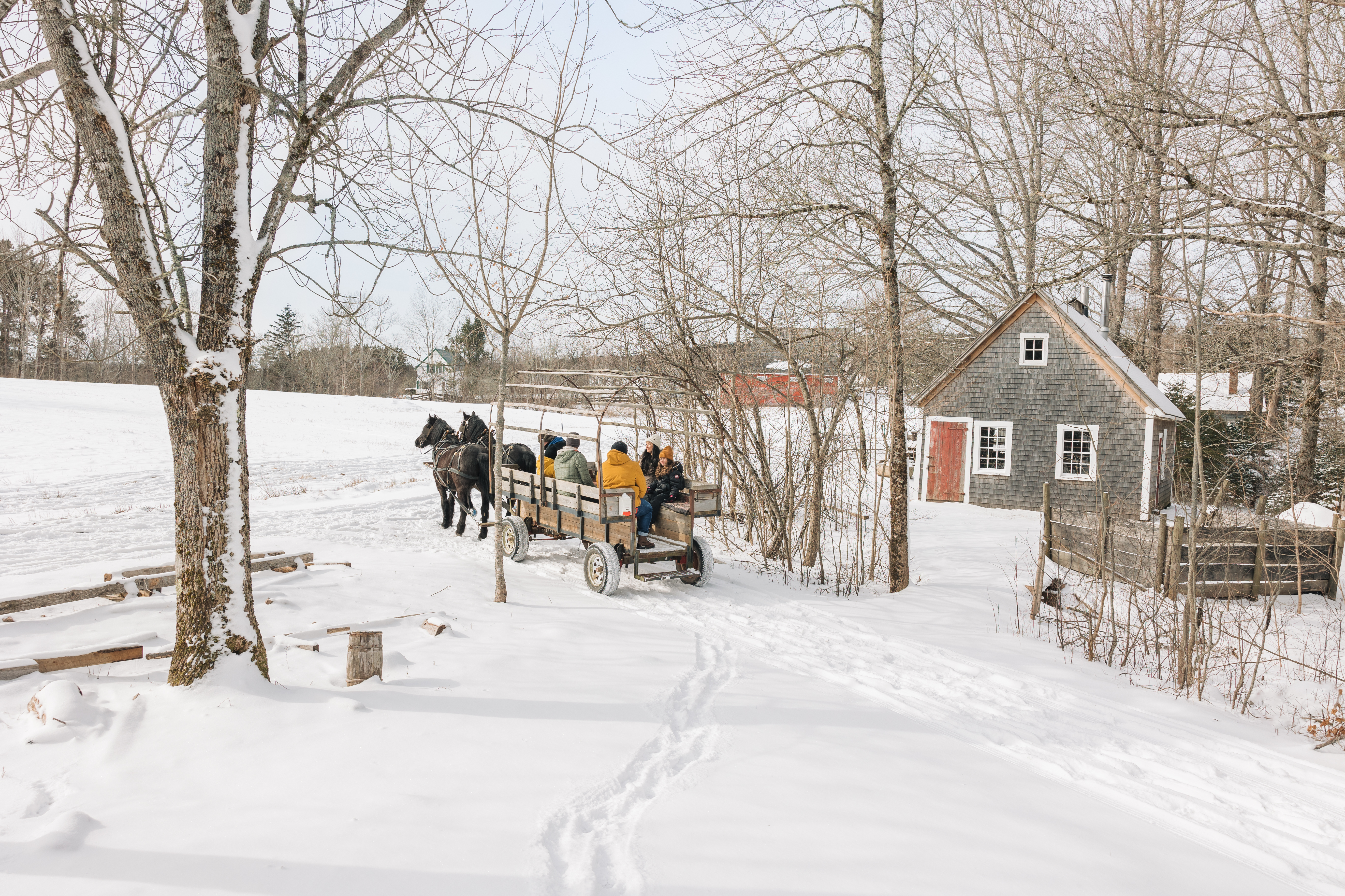 Horse drawn carriage in snow with an old grey building in the background.