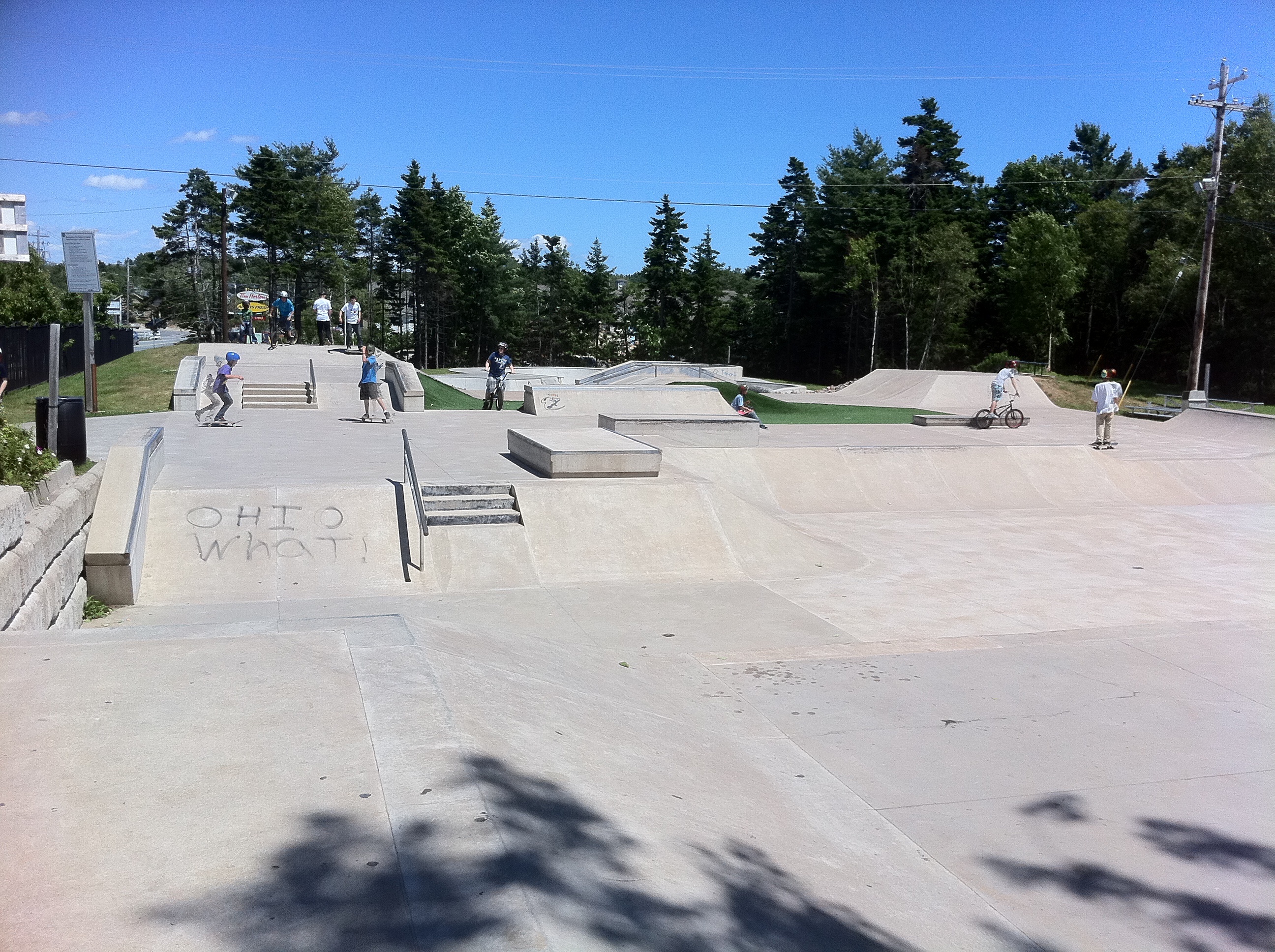 Photo of concrete skate park with bowls and stairs surrounded by trees