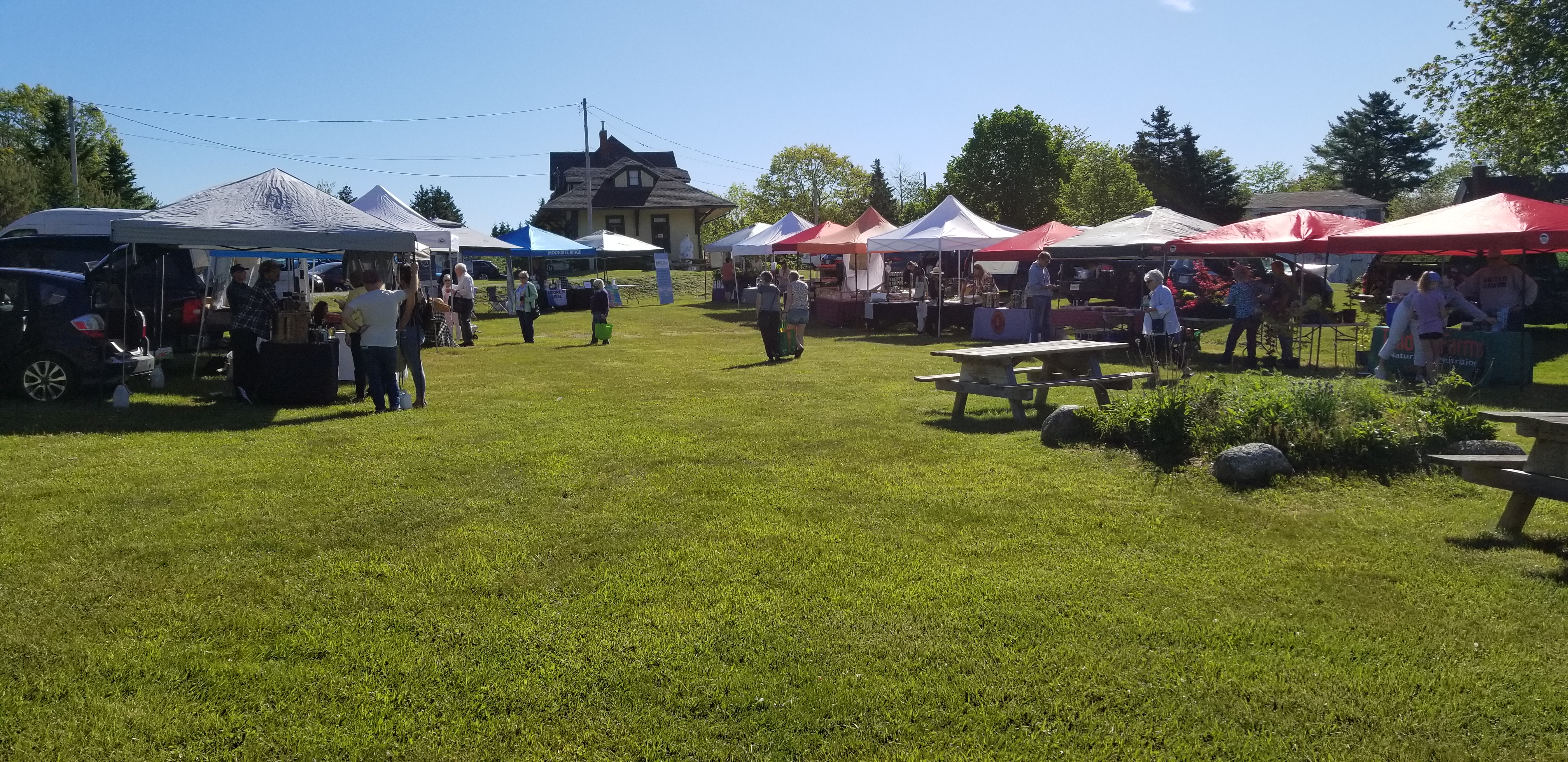 Photo of the Chester Farmers' & Artisan Market, outside with tents, picnic tables and a blue sky