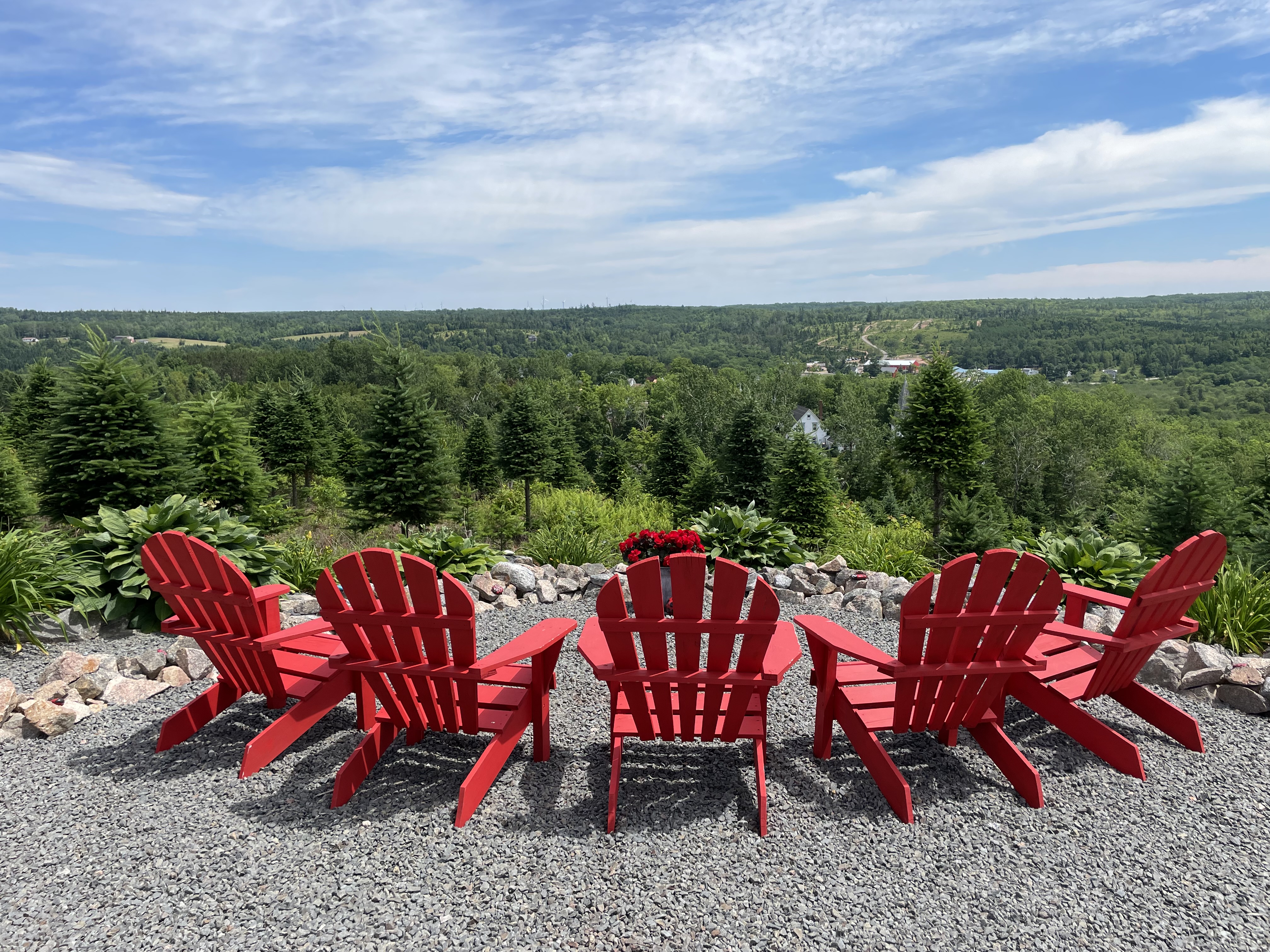 Image of five red chairs at the top of Ruby's Trail overlooking New Ross
