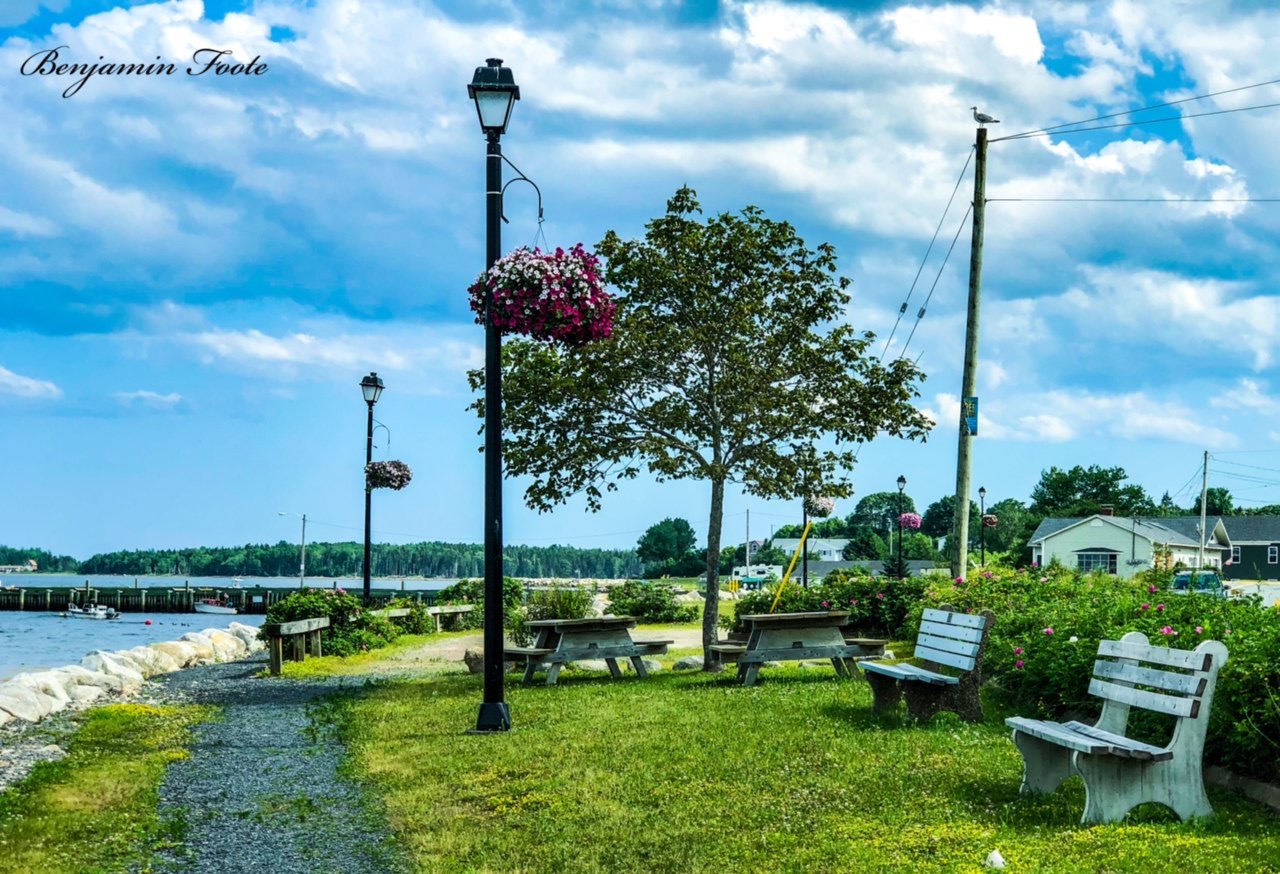 Photo of benches at Wild Rose Park