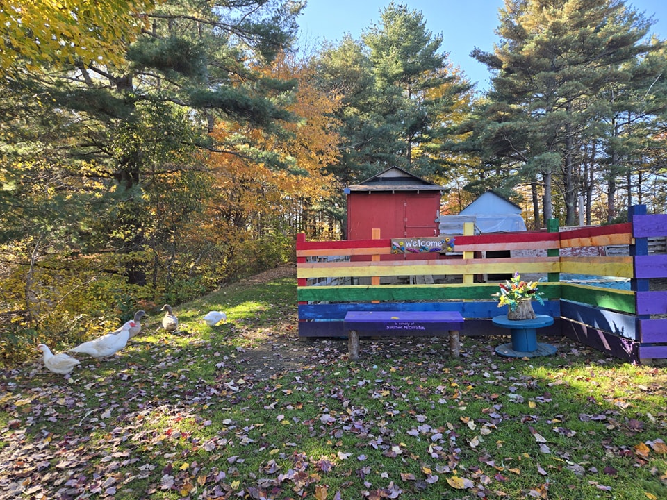 Photo of entrance to Little Silly Goose Farm with Ducks and fence in rainbow colours