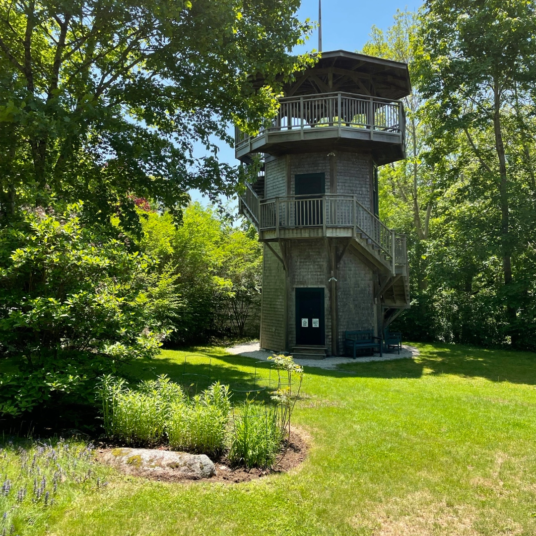 Photo of Lightfoot Tower, three stories, surrounds from lawn and garden