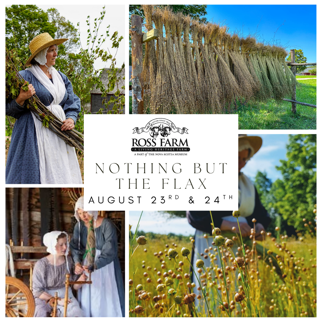 Collage of flax growing, drawing, harvesting, and weaving