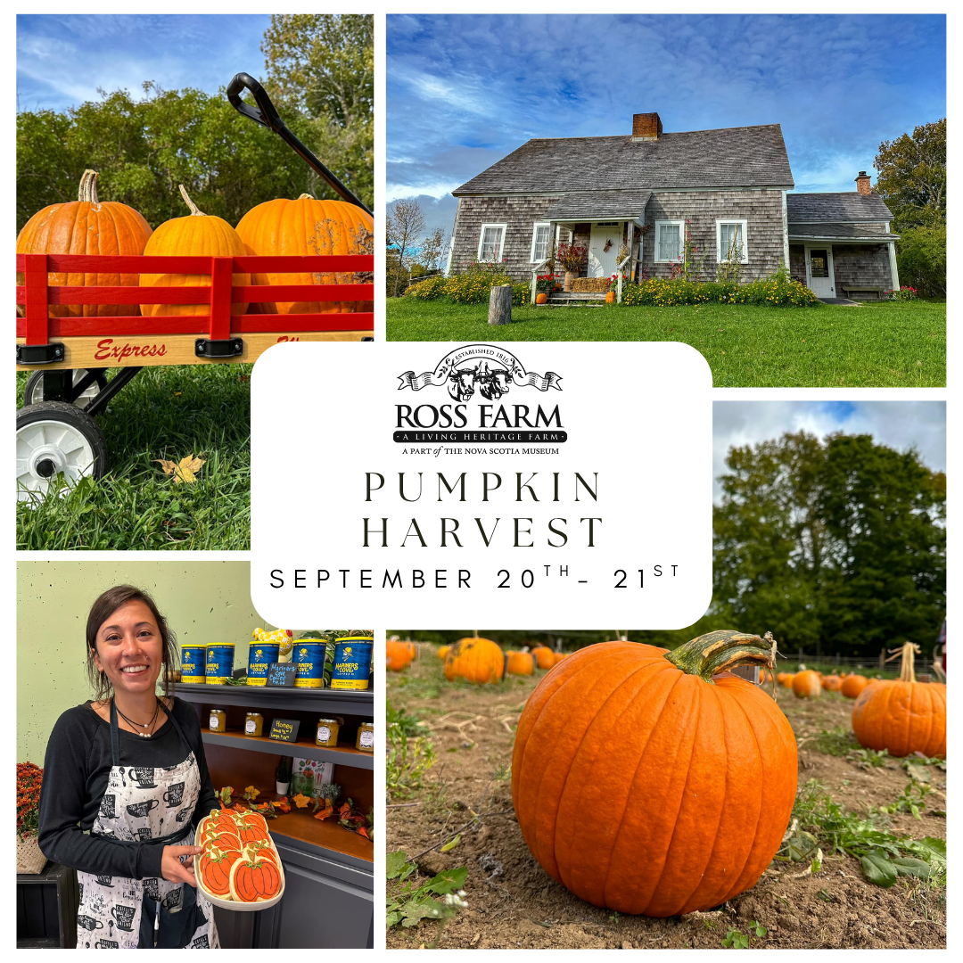 Collage of pumpkins, pumpkin cookies, and rosebank cottage