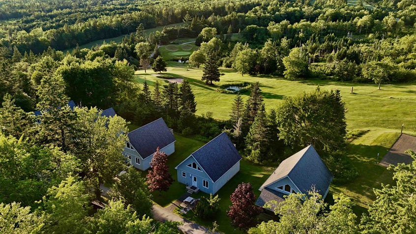 Photo of outside of chalets surrounds by trees