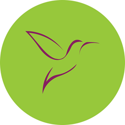 Logo of the Dordean Suites of Chester with a hummingbird outline in magenta on a green circle