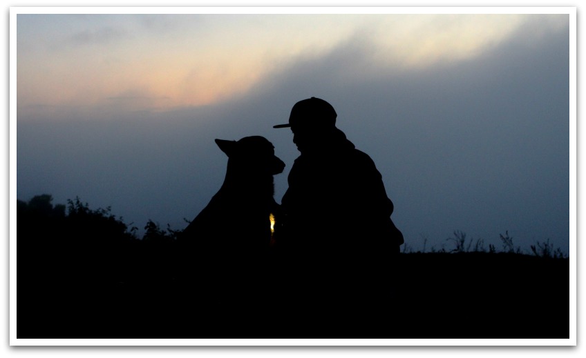 Silhouette of a person petting their dog at dusk.