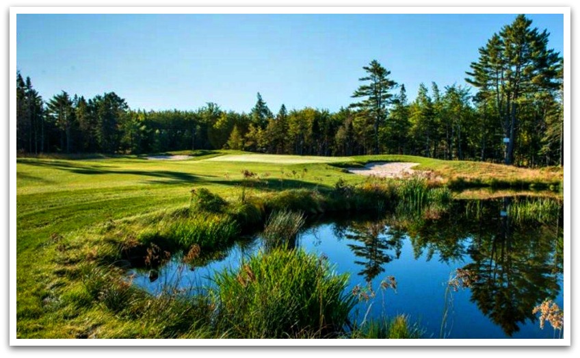 Golf green with trees in the background and a pond in the foreground.