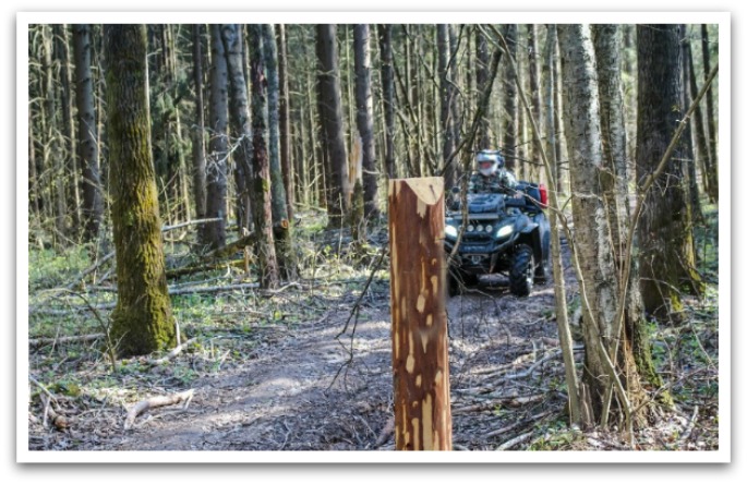 Person on ATV driving down frosted dirt path with trees surrounding them.