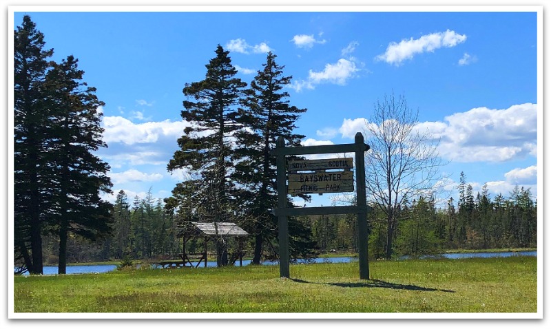 Rustic wooden sign reading "Nova Scotia Bayswater Picnic Park" on grass with a lake in the background.