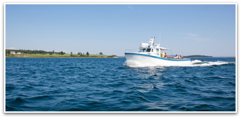 Boat with crew on board pulling into bay with land and trees in the background