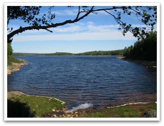 Card Lake Provincial Park view from trees onto a lake.