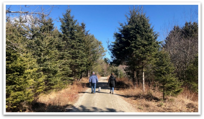 2 people walking their dog on a trail