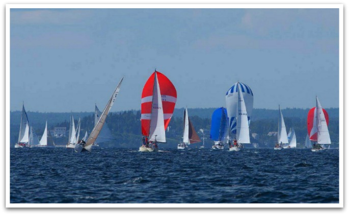 Many sailing boats in a harbour.