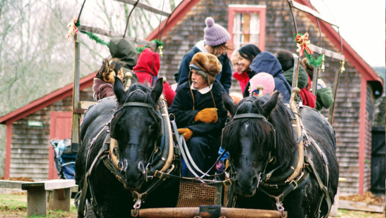 group smiling in a horse drawn carriage with a barn in the background 