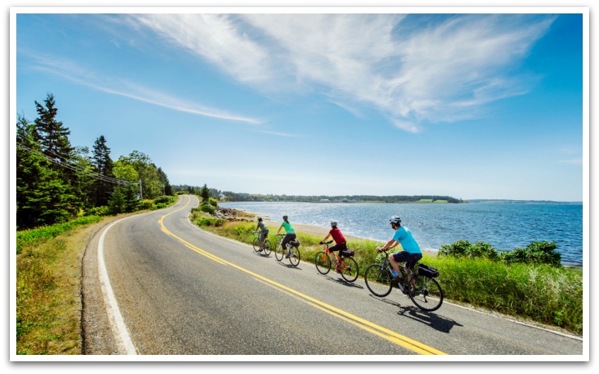 Four cyclists cycling down a road by the ocean.