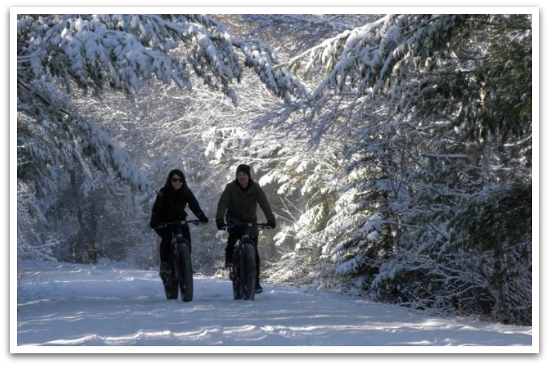 Two people cycling on a snow covered trail.