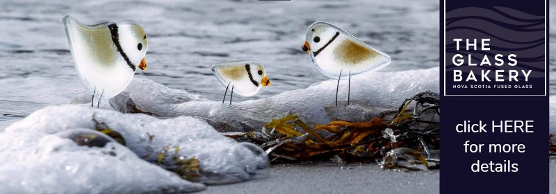glass bakery birds posed on rocks by the ocean