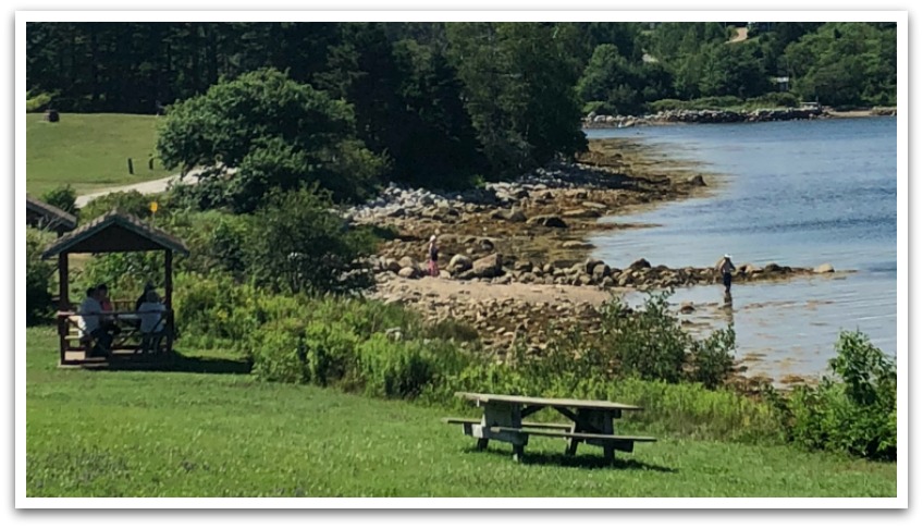 Small rocky Graves Island beach with picnic benches on grass behind it.