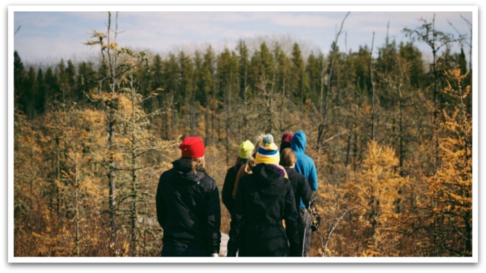 Group walking down a trail in a forest