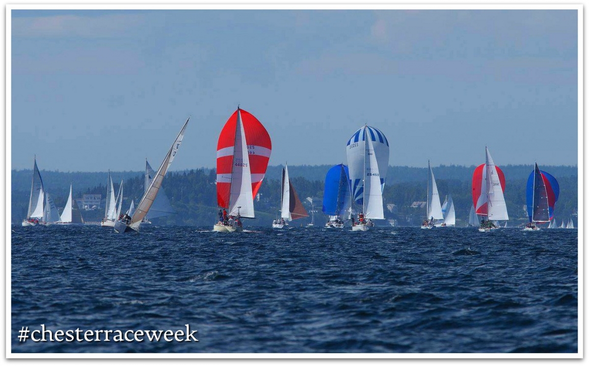 Photo of sailing boats in the ocean participating in Chester race week with the hashtag #chesterraceweek