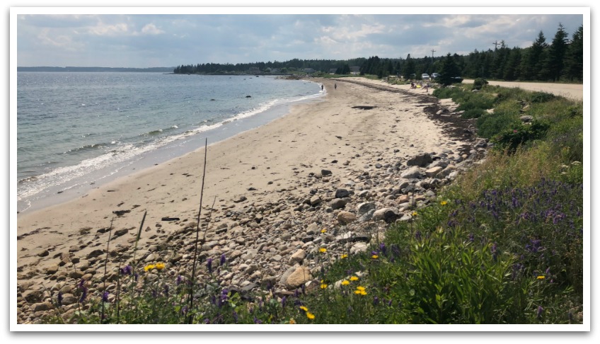 Long sandy beach with pebbles and grass in the foreground. Cars parked on the side of the road behind it.