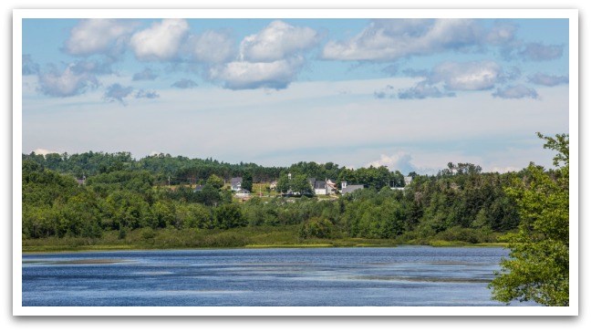 Few houses facing a lake with trees surrounding.