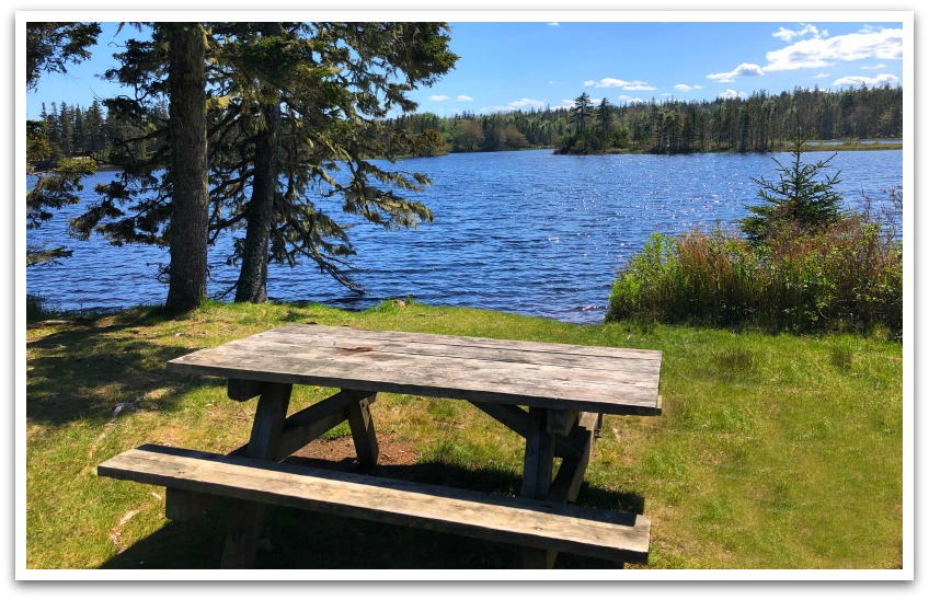 A picnic bench on grass facing a lake with forest in the background.