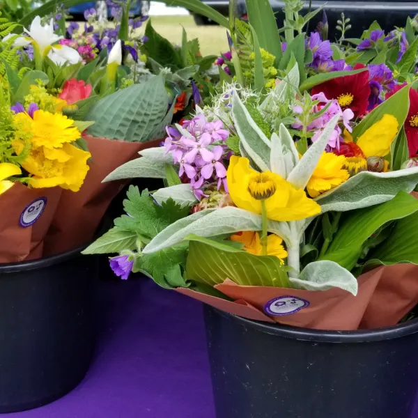 Photo of colourful flower bouquets