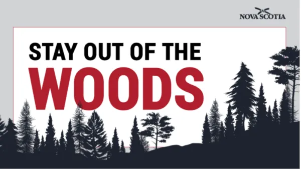 Graphic of Stay Out of the Woods with trees in the background