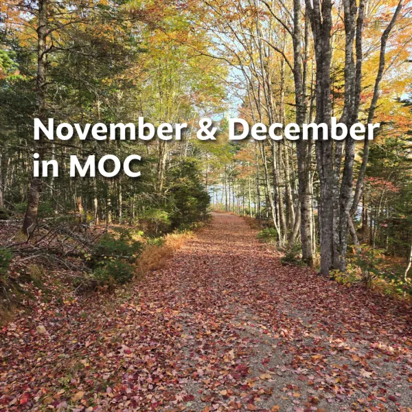 Photo of a wooded trail in the fall with the words November & December in MOC