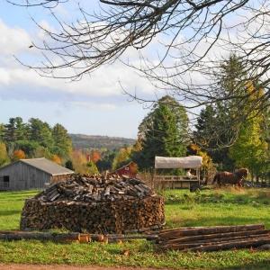 Ross Farm Museum