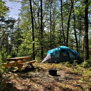 Crazy for Camping? Come to the Municipality of Chester