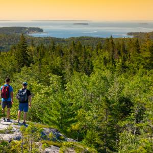 Photo of the view from the top of Castle Rock overlooking forest and ocean.
