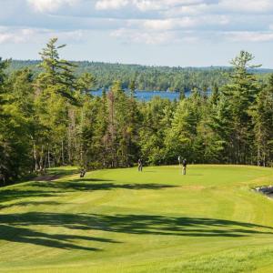 Photo of three people playing golf with trees and water in the background
