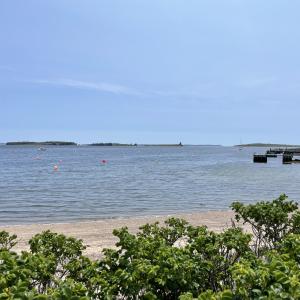 Photo of Freda's Breach with rose bushes in the back ground and blue sky