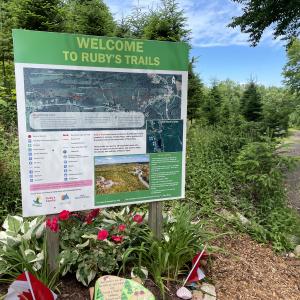 Photo of the map of Ruby's Trail
