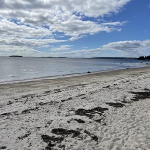 Picture of Meisner's Beach on a calm day, seaweed strewn across the beach.