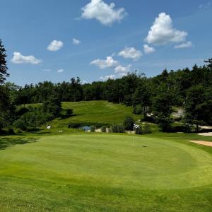 Photo of golf green on a sunny day 