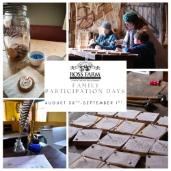 Collage of museum activities for families