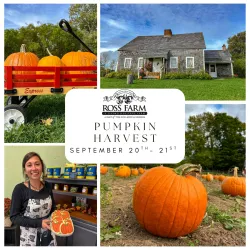 Collage of pumpkins, pumpkin cookies, and rosebank cottage