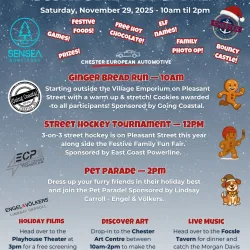 Poster of Nov 29 events 