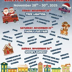 Poster for Nov 30 events