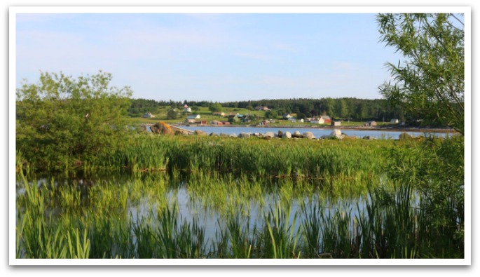 Wooden houses on a hill facing a cove with marsh lands and a small lake in the foreground.