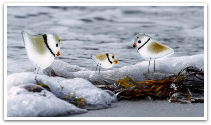 Glass birds positioned on rocks by the ocean.