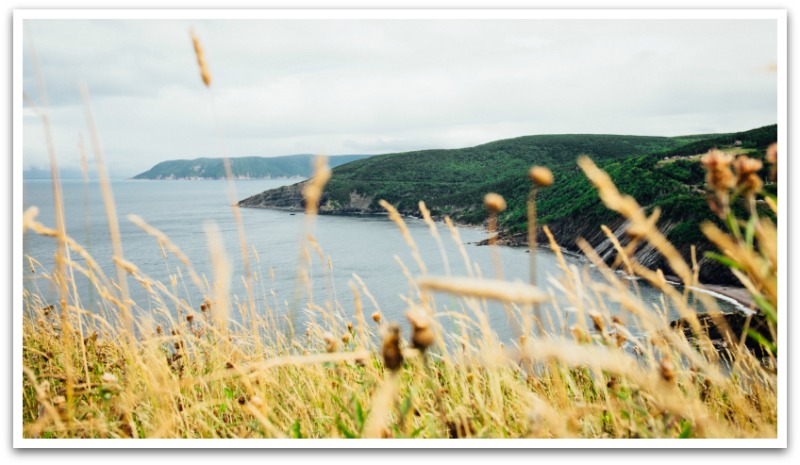 photo of the Cabot trail taken through long grass